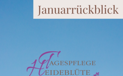 Januarrückblick