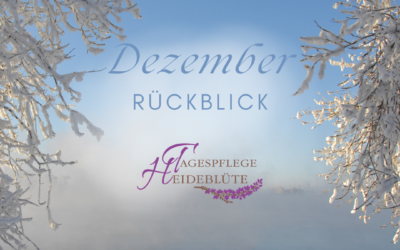 Dezember Rückblick ✨