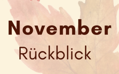 November Rückblick 🍂 